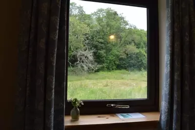 view from woodland en suite